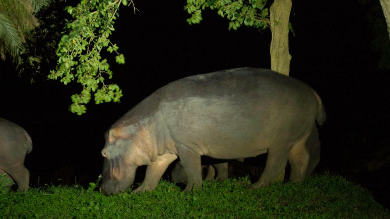Hotel Kwalucia Private Safari Retreat Saint Lucia Estuary Zewnętrze zdjęcie